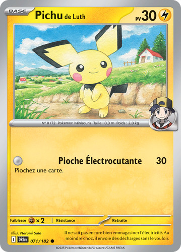 Carte pokémon pichu luth - carte,